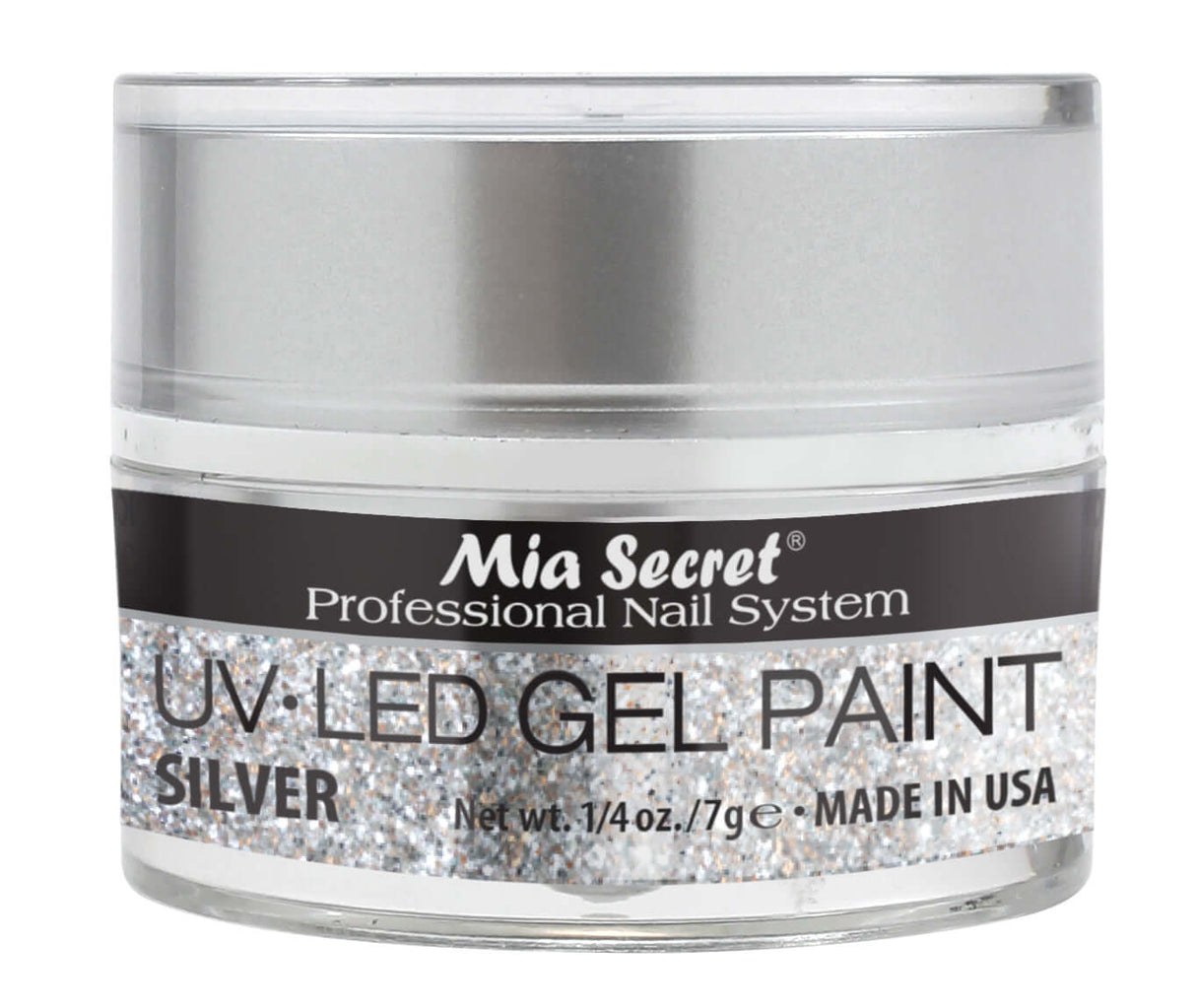 Gel Paint Silver